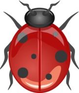 Lucky ladybug clipart