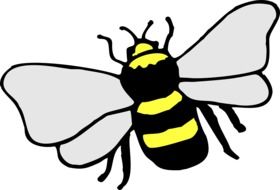 Bee Insect drawing