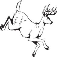 Ä°llustration of Deer Jumping