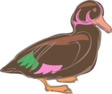 colourful Duck Bird artistic vector drawing