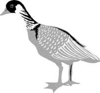 Black, grey and white clipart of the goose bird