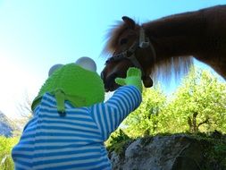 kermit frog and pony