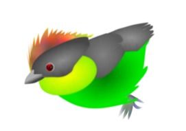 exotic Finch Bird drawing