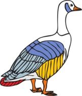 drawn colorful goose