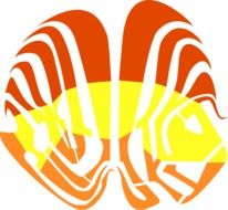 Animal Fish abstract drawing
