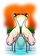 drawn two cranes on a background of orange sunset