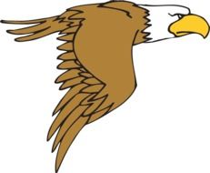 cartoon eagle