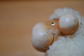 Closeup photo of Sheep toy