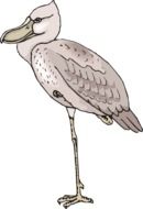 drawing of a bird on long legs