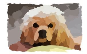 Domestic puppy drawing clipart