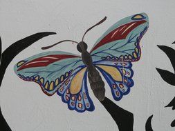 butterfly drawing with colored wings