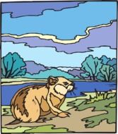 bright picture with a image of a chipmunk