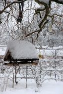 Bird feeder in snowy forest