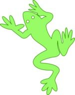 frog image