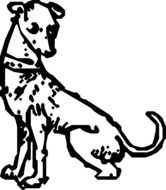 drawing of a dalmatian dog on a white background