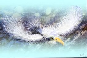 Drawing of bird in a flight