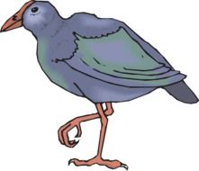 drawing of a bird standing on one leg