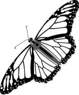 Monarch butterfly drawing on a white background