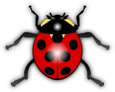 Clipart of a colorful ladybug insect