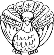 drawing of a turkey bird