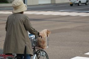 Woman Bike at Japan Street