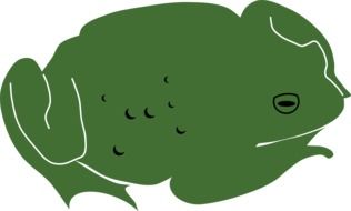 fat Toad Frog drawing
