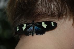 butterfly on man's neck