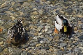couple on the lakeside