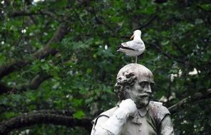 seagull on the head of the statue