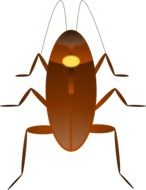 ugly Cockroach Insect drawing