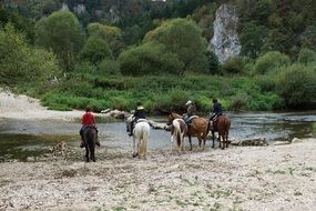 people on horses near the river among the plants