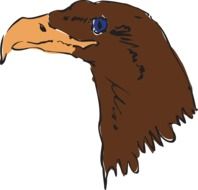 Brown Head Eagle with beige Beak, drawing