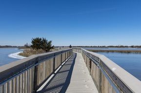 Assateague Park Ice Cold