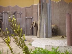 extraordinarily beautiful Elephant Zoo