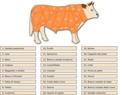 painted parts of a cow