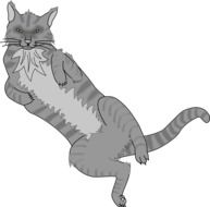 drawing of a domestic grey cat