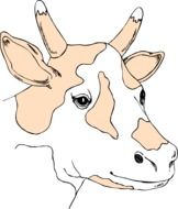 spotted cow as a graphic sketch