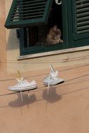 white sneakers dry on a clothes line