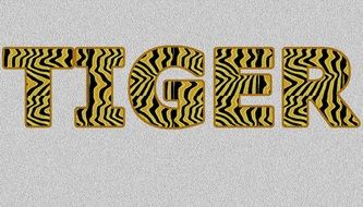 Tiger, lettering with animal print, Word-Art