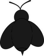 black silhouette of insect