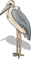 Standing Stork drawing