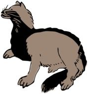 Clipart,picture of grey badger