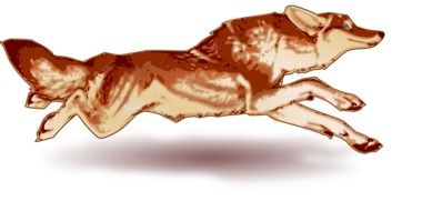 Fox Running drawing