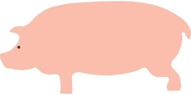Pig Pink silhouette drawing