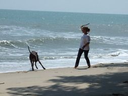dog and woman playing by the sea