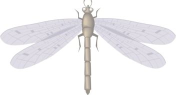 Dragon Fly drawing