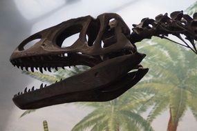 Giant dinosaur skeleton in a museum