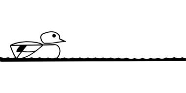 Duck Swimming drawing