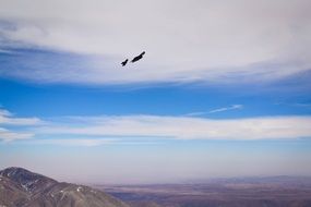Birds and mountains