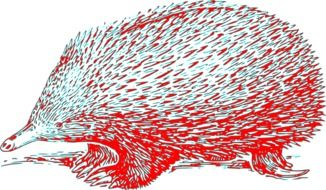 Echidna, red and blue drawing